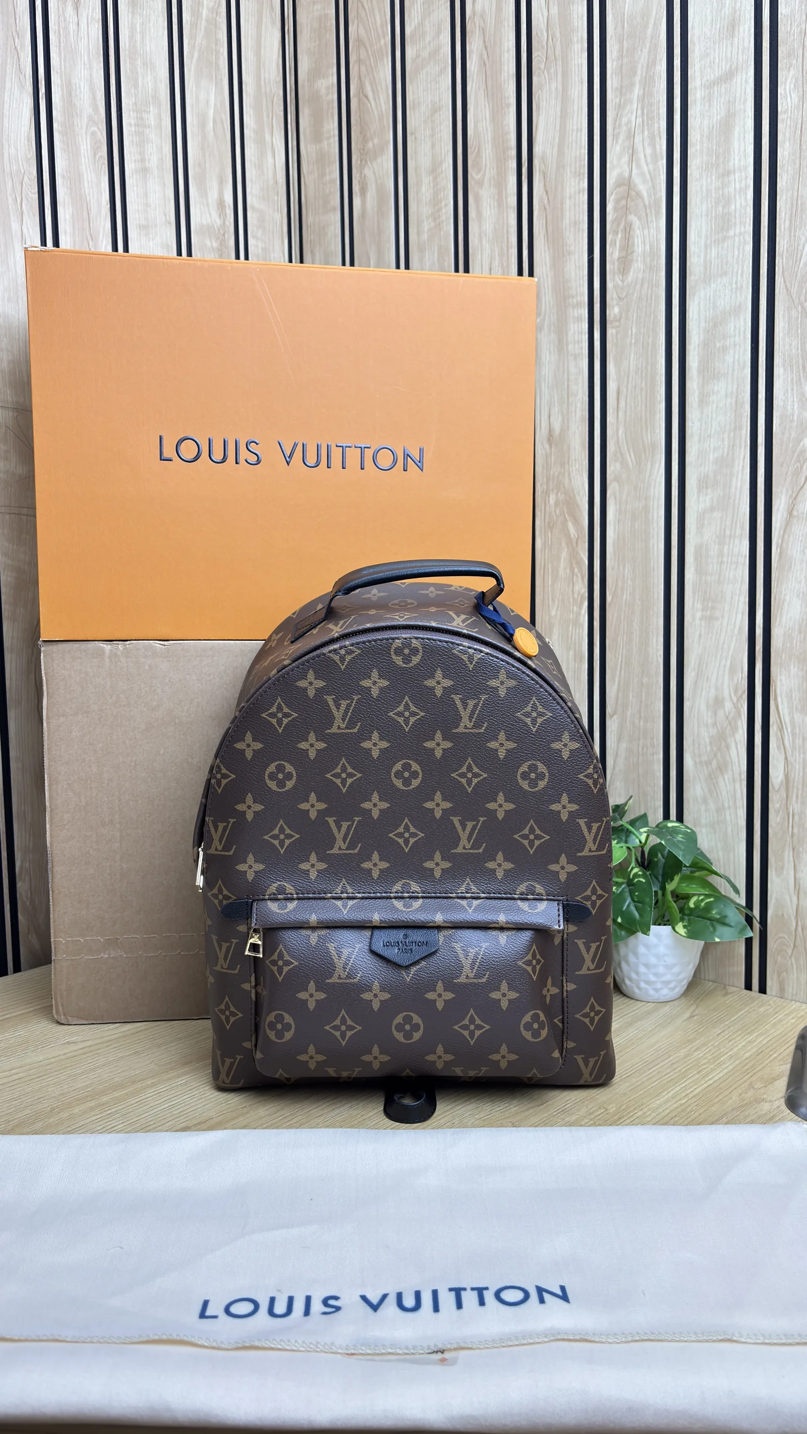 LV PALM SPRINGS BACKPACK