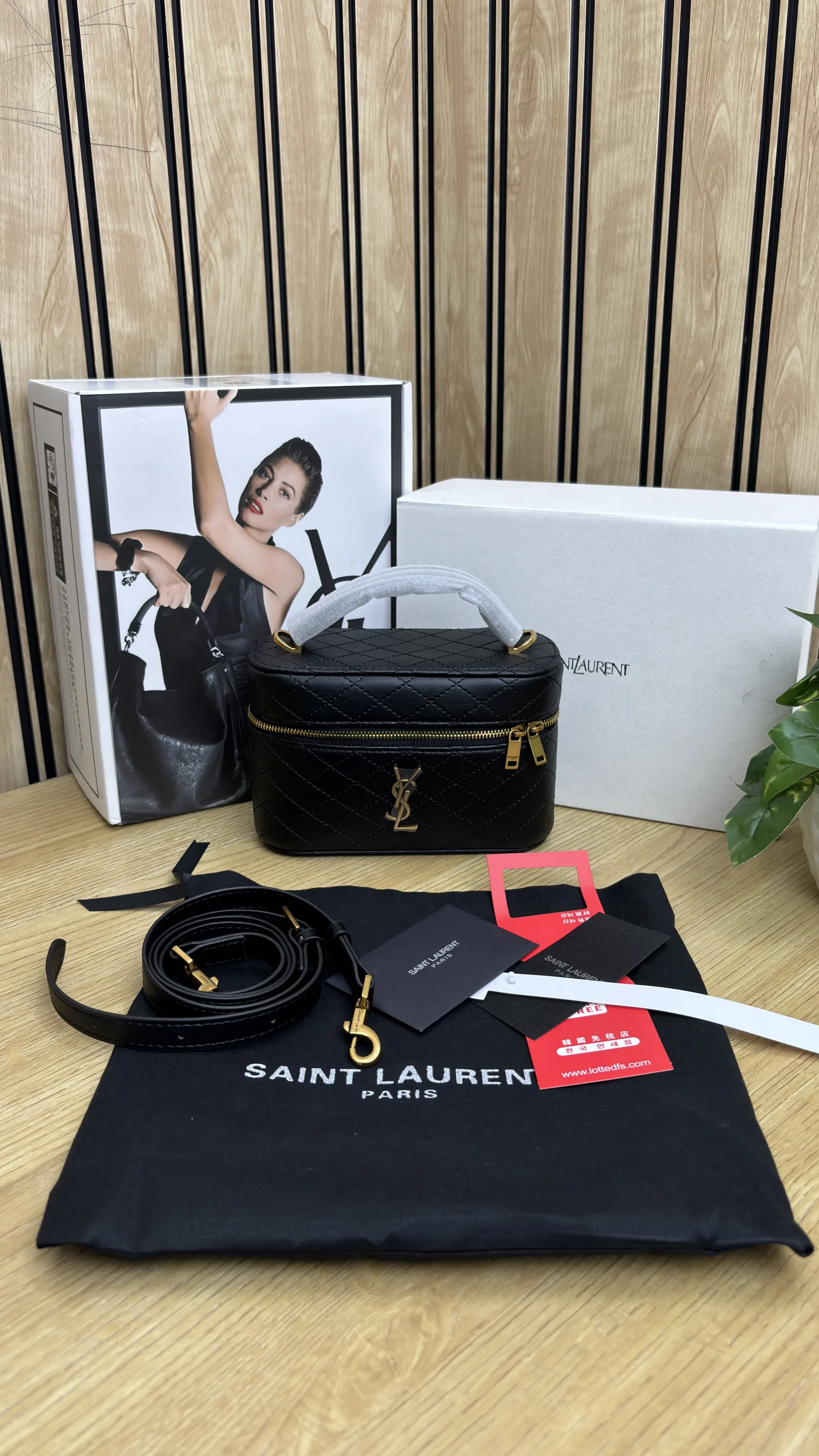 SAINT LAURENT GABY VANITY BAG