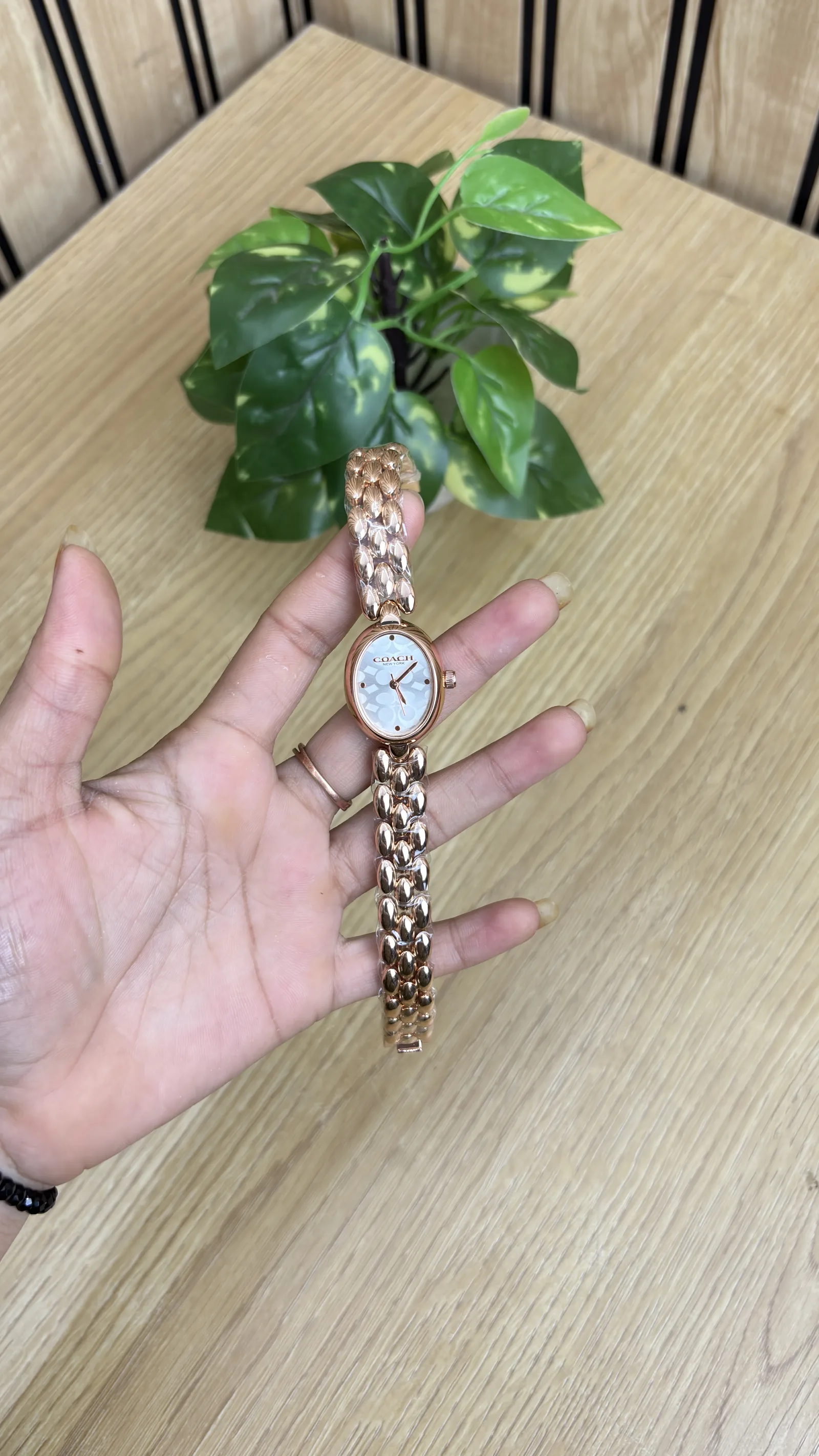 COACH WATCH 0058