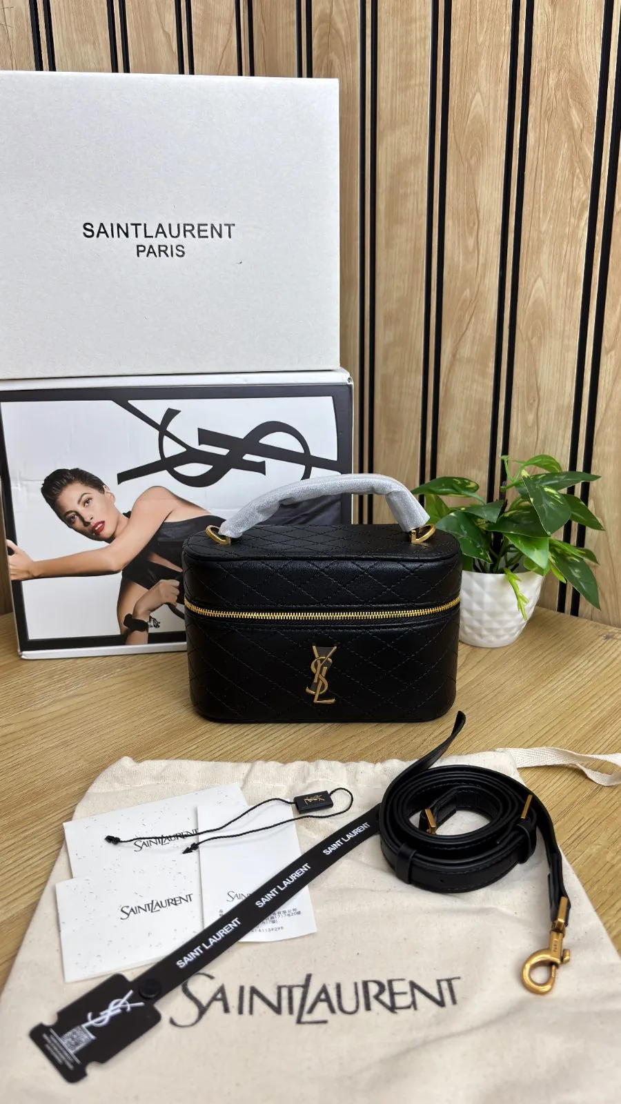 SAINT LAURENT GABY VANITY BAG