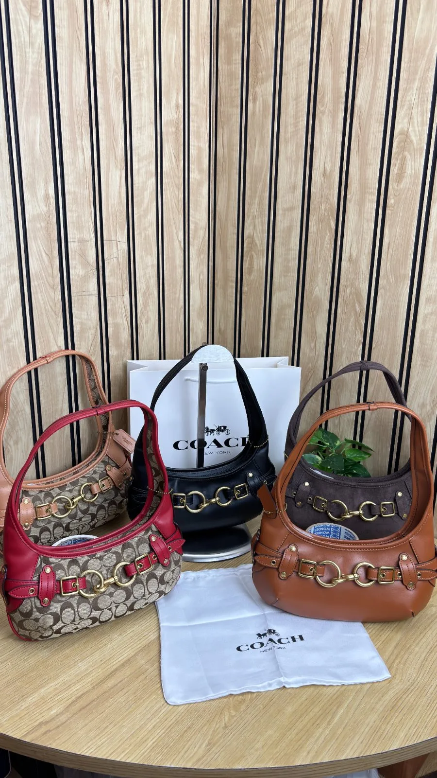 COACH BELTED ERGO SHOULDER BAG