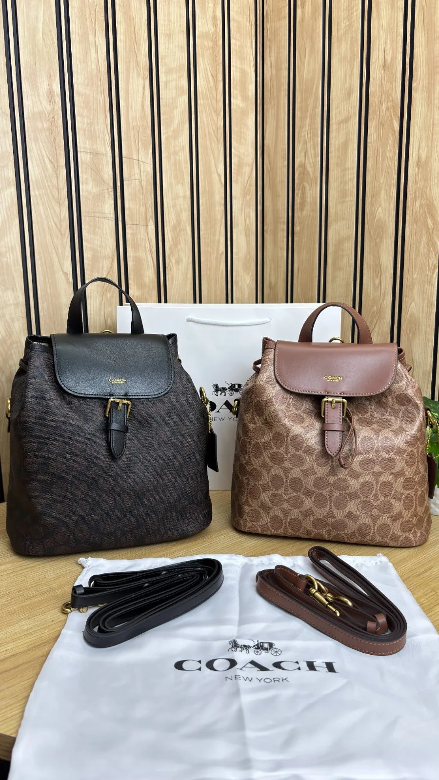 COACH PATH BACKPACK IN SIGNATURE CANVAS