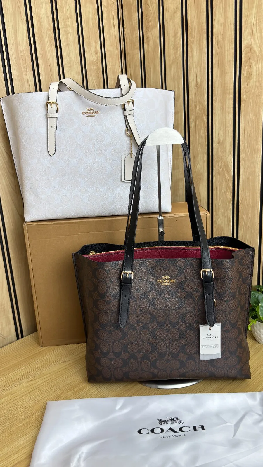 COACH MOLLIE TOTE BAG IN OG SERIES