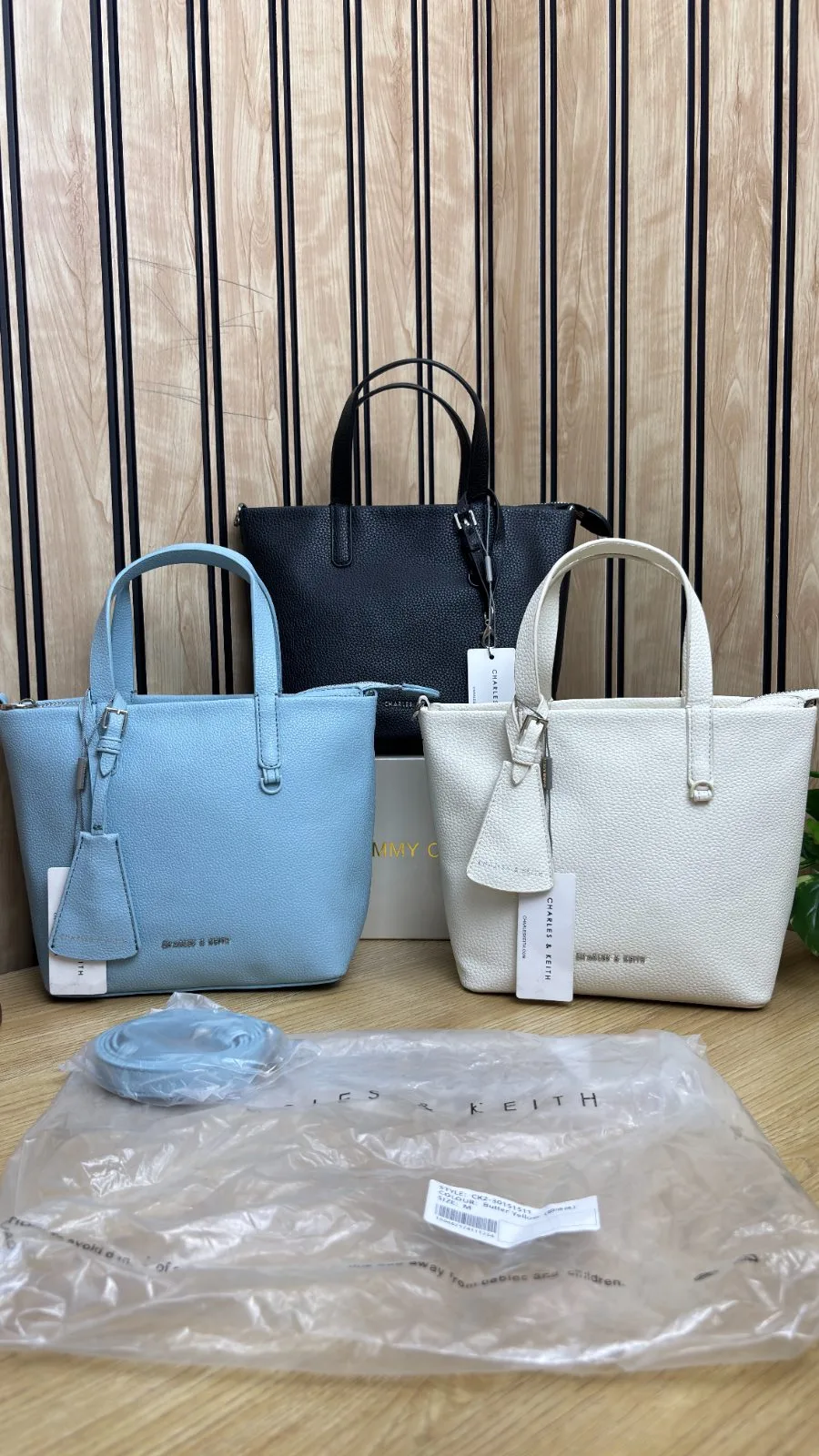 CHARLES AND KEITH MINI BERYL TOTE BAG