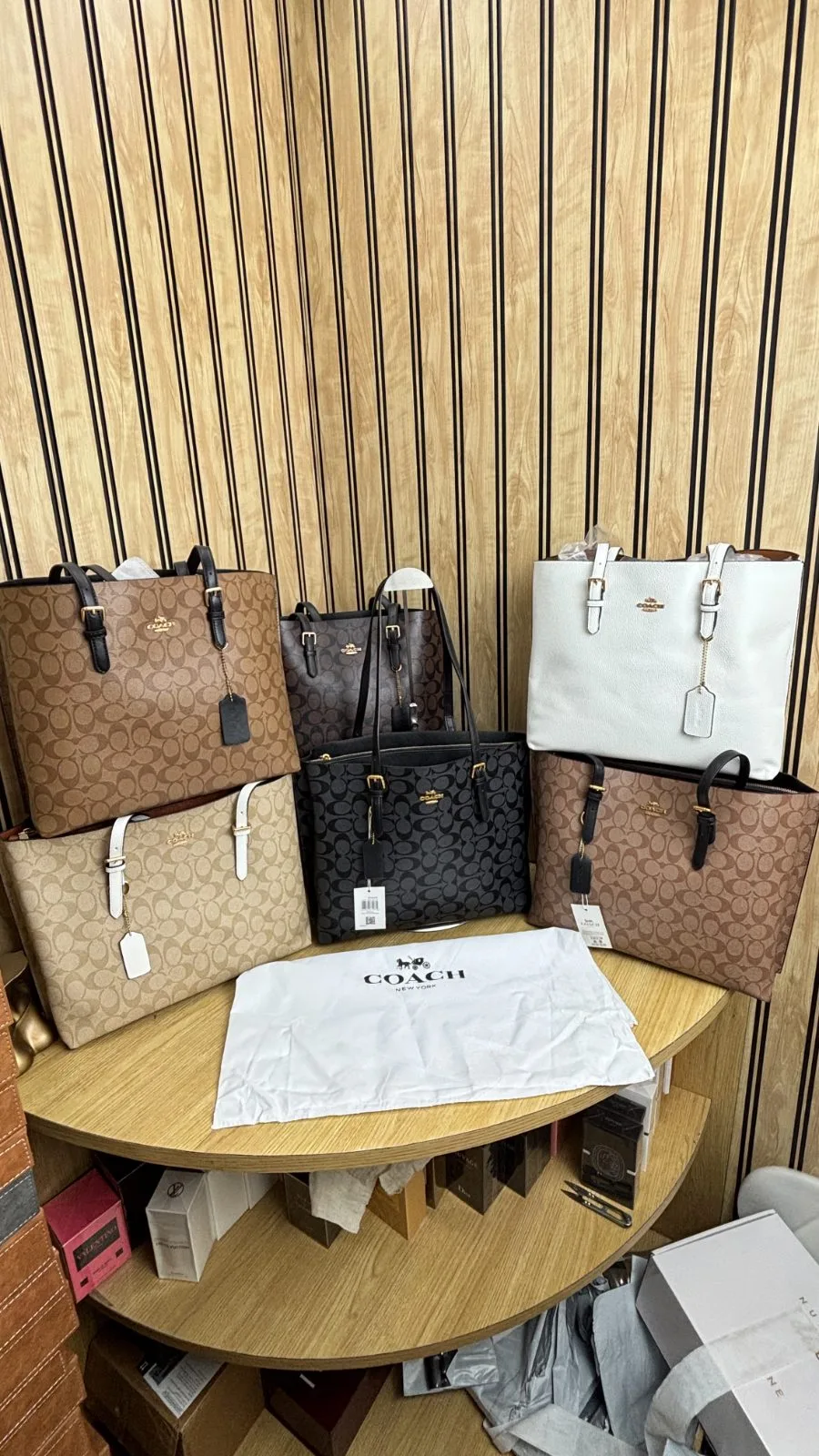 COACH MOLLIE TOTE BAG