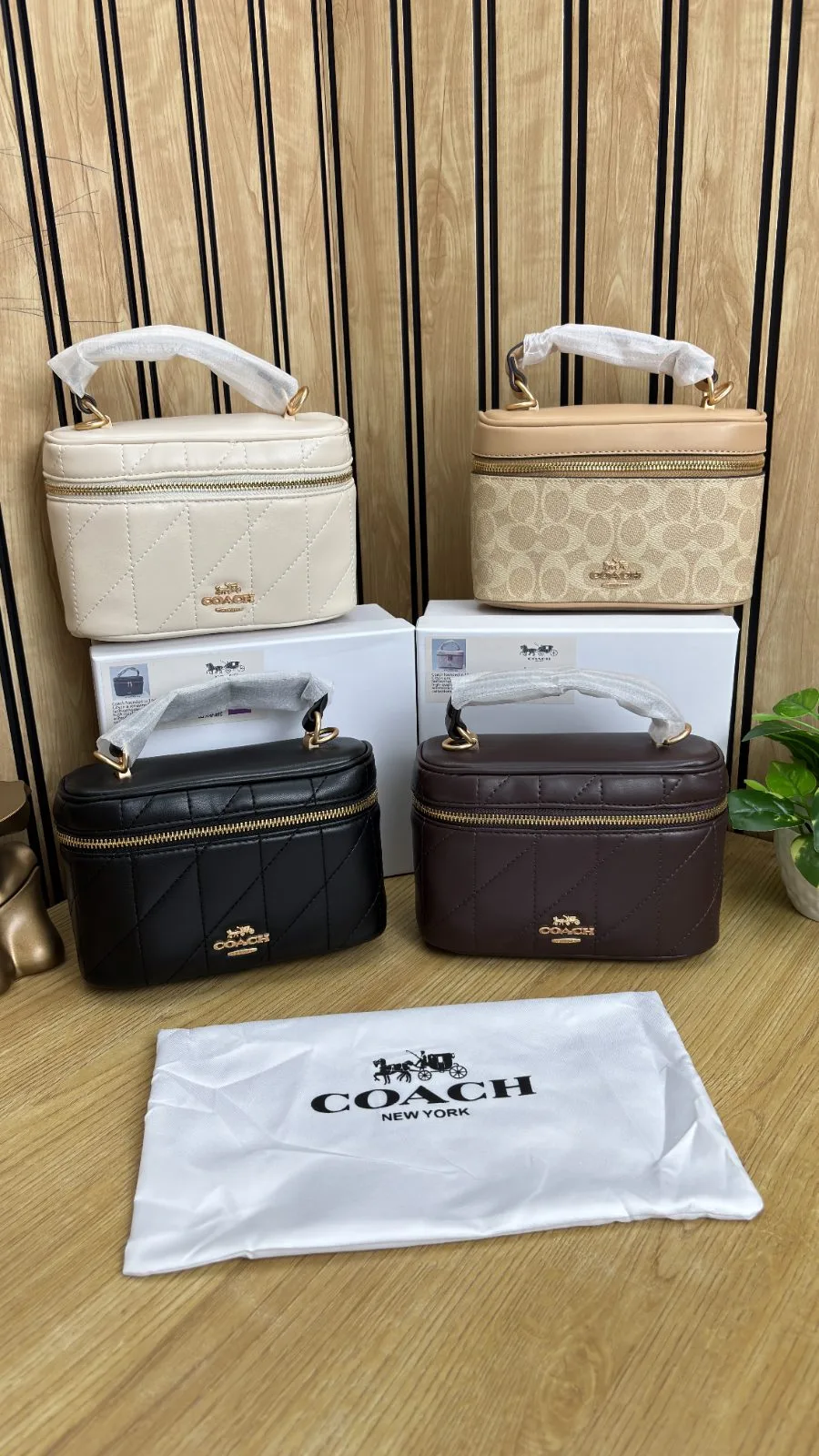 COACH RAINER VANITY STYLE CROSSBODY BAG
