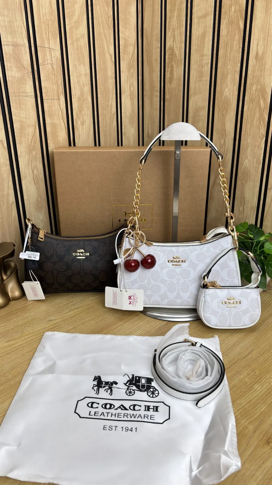 COACH TERI SHOULDER BAG