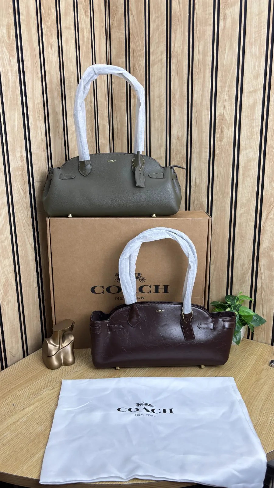 COACH EMPIRE CARRYALL BAG