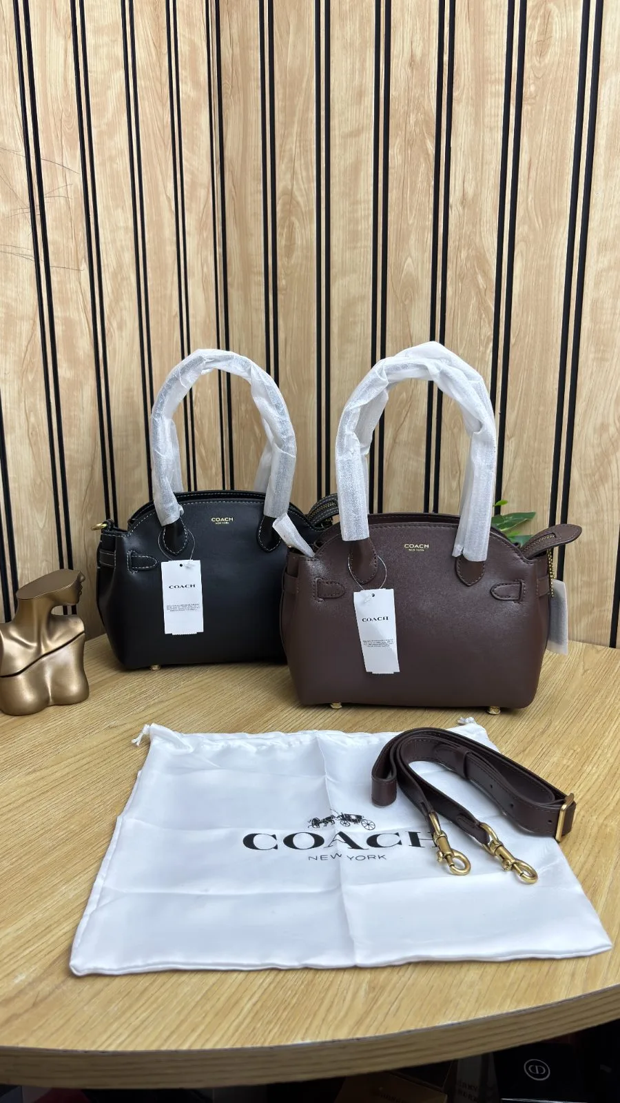 COACH SOFT EMPIRE CARRYALL BAG 21